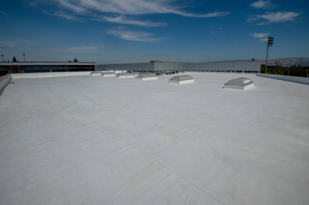 Best Roof Inspection  in USA